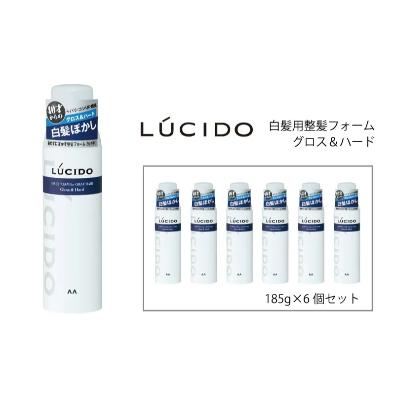 マンダム ルシード 白髪用整髪フォーム グロス＆ハード 185g×6個セット MA-102B