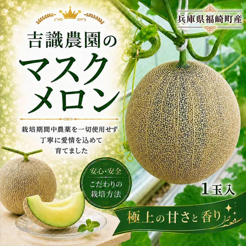 マスクメロン「パノン」1玉 農薬不使用栽培 贈答用 化粧箱入り