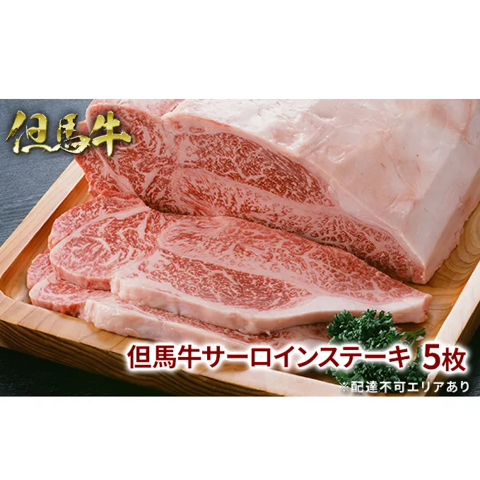 但馬牛 サーロイン ステーキ 200g×5枚 計1kg 牛肉 国産牛 和牛 BBQ バーベキュー アウトドア お祝い