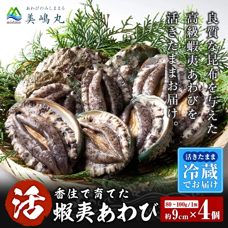 【冷蔵 活あわび 養殖 9cm×4枚 360〜400g 1個（80〜100g）】満点青空レストラン うまい！おせち2023に採用されました！アワビ 鮑 活アワビ あわび 海鮮貝 魚介 お刺身 BBQ バター焼き 新鮮 日本海 養殖 昆布 レシピ入り 人気 テレビ 紹介 話題 高級 香美町 香住 山陰 美嶋丸 20-02