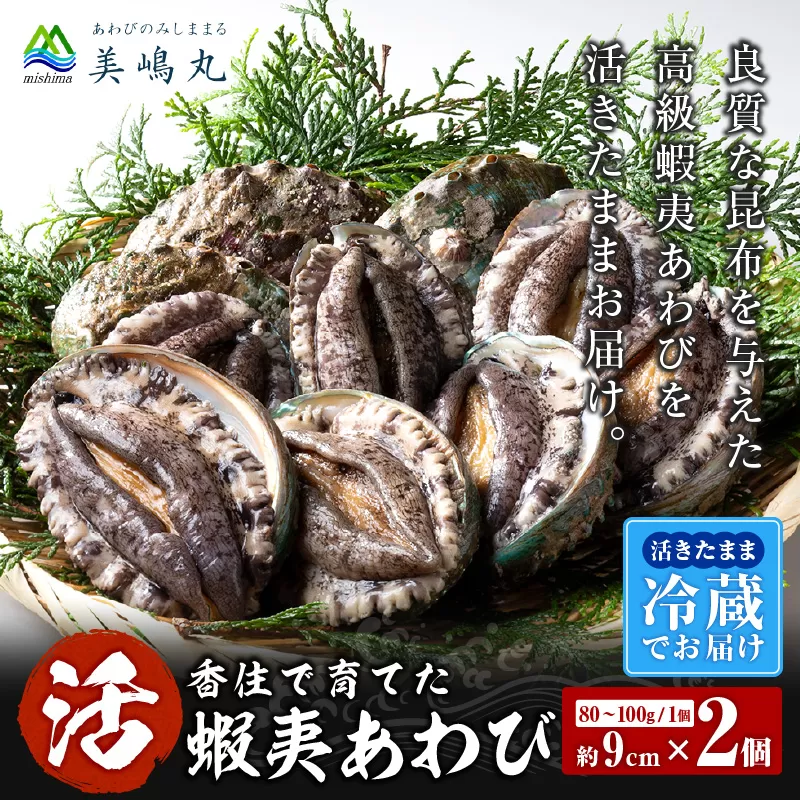 【冷蔵 活あわび 養殖 9cm×2枚 160〜200g (1個80〜100g）】満点青空レストラン うまい！おせち2023に採用されました！アワビ 鮑 活アワビ あわび 海鮮貝 魚介 お刺身 BBQ バター焼き 新鮮 日本海 養殖 昆布 レシピ入り 人気 テレビ 紹介 話題 高級 香美町 香住 山陰 美嶋丸 20-11