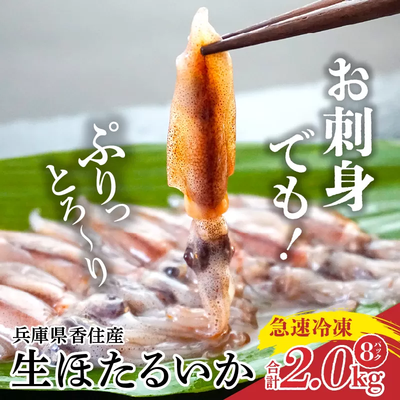 【兵庫県香住産 訳あり 生 ホタルイカ ほたるいか 小分け 便利 2kg（250g×8パック）冷凍】国産 しゃぶしゃぶ 刺身 ホタルイカ 水揚げ 日本一 いか イカ 大人気 人気 ランキング ふるさと納税 返礼品 おすすめ 兵庫県 香美町 香住 13000円 日本海フーズ 07-135