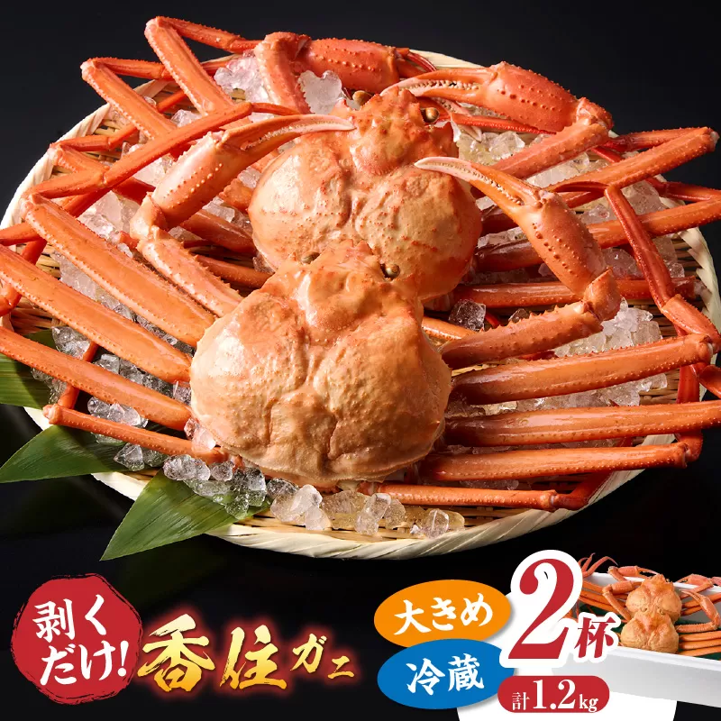 【香住ガニ 釜茹で ボイル 大きめ 約600g×2匹(約1.2kg以上)冷蔵】【令和8年9月中旬以降発送予定】国産 かに カニ 蟹 しゃぶ かにみそ かにすき かに鍋 鮮度抜群 紅 べに ずわいがに ベニズワイガニ 姿 脚 爪 旨味 甘味 鮮度 大人気 人気 ランキング おすすめ ふるさと納税 返礼品 香住産 兵庫県 香美町 日帰り漁 日本海フーズ 07-01