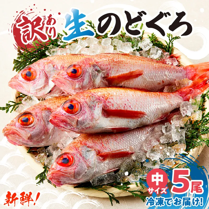 【兵庫県香住産 訳あり のどぐろ 処理済 中サイズ 5匹 約700～800g 冷凍】 日本海 香住 柴山 漁港 水揚げ 国産 ノドグロ 生冷凍 鮮度抜群 脂乗り 急速冷凍 産地直送 サイズ不揃い BBQ バーベキュー 焼き魚 煮付け 塩焼き 大人気 ふるさと納税 返礼品 おすすめ 兵庫県 香美町 宿院商店 33-30