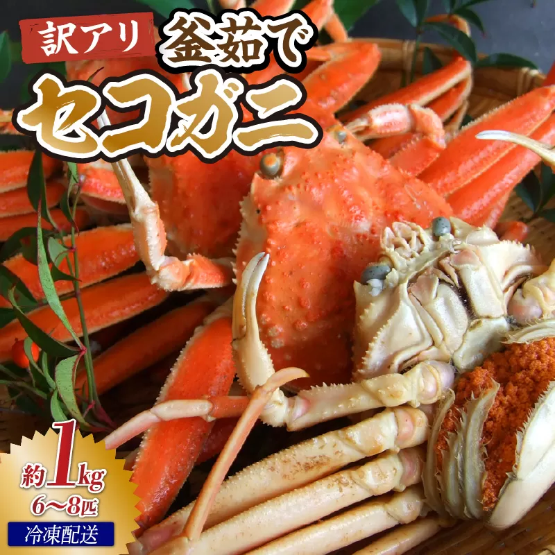 【先行予約】兵庫県香住産 訳あり茹でセコガニ1kg 冷凍【令和8年11月中旬以降発送予定】 カニの本場兵庫県香美町 香住漁港 せこがに かに 蟹 セコ 訳あり国産 刺身 しゃぶしゃぶ 焼きガニ 鍋 カニ鍋 かにすき 脚 足 爪 身 肩 ランキング 大人気 人気 香美町 兵庫県 香住 日本海 宿院商店 33-40