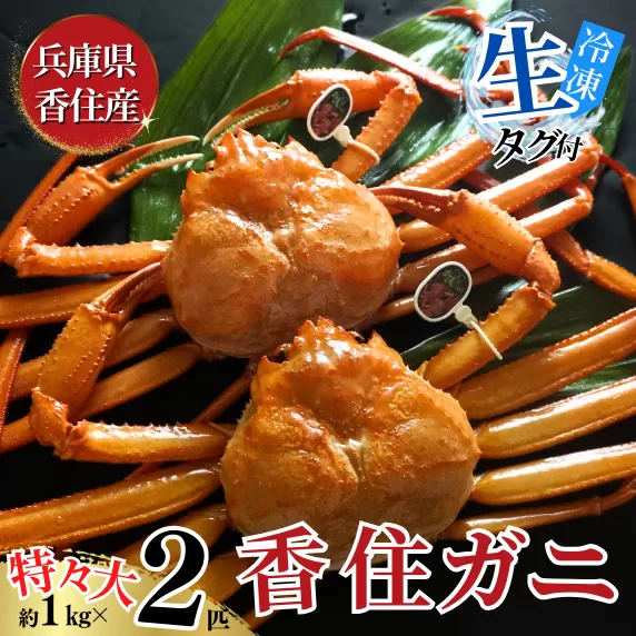 【活〆 タグ付き 香住ガニ 特々大 約1.0kg×2匹（合計約2.0kg以上）冷凍】 大人気 返礼品 おすすめ ランキング 国産 カニ かに 蟹 本場 香住 急速冷凍 ベニズワイガニ しゃぶしゃぶ 刺身 かにすき 焼きガニ ふるさと納税 兵庫県 香美町 日本海フーズ 40000円 KMG 07-114