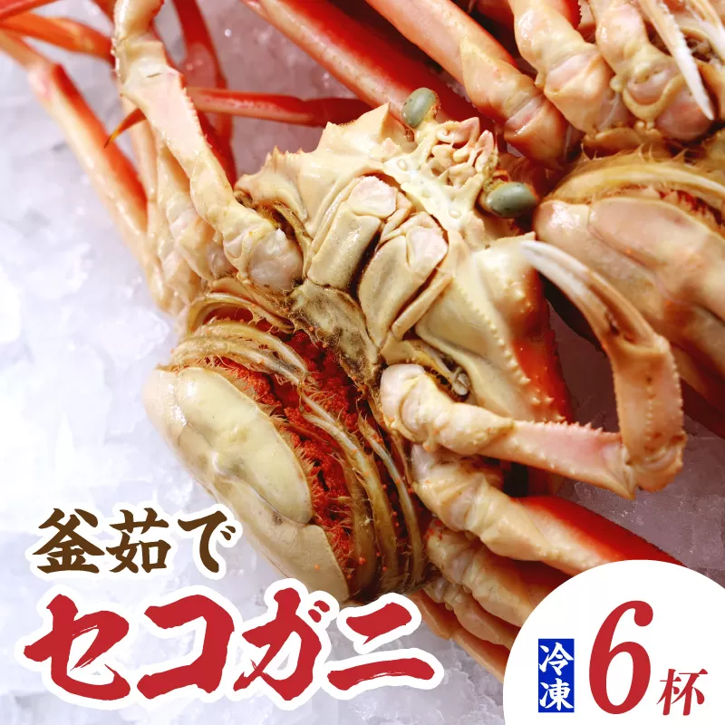 【セコガニ 約120g×6匹 釜茹で ボイル 冷凍】 国産 カニ かに 蟹 松葉がに せいこがに メスガニ 親ガニ 濃厚 かにミソ かにみそ やみつき 内子 外子 絶品 産地直送 絶妙 茹で 大人気 おすすめ 兵庫県 香美町 香住 日本海フーズ かに市場 07-08