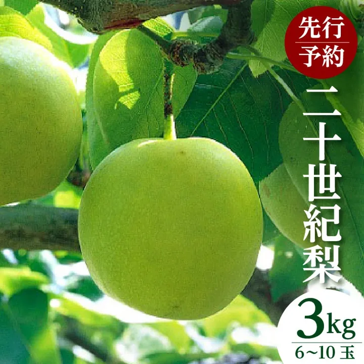 《2026年産 先行予約》【梨 二十世紀梨 香住梨 3kg 秀品(Aランク)L~5Lサイズ混合6~10玉】【令和8年8月下旬以降発送予定】 梨 20世紀梨 香住梨 シャキシャキ 甘味 瑞々しさ 香住梨 フルーツ 果物 贈答品 ギフト なし ナシ 和梨 青梨 大人気 おすすめ ランキング 兵庫県 香美町 香住 JAたじま たじまんま 76-02