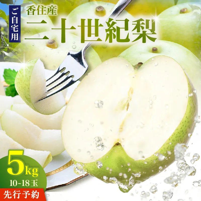 《2027年産 先行予約》二十世紀梨 ご自宅用 優品（Bランク）約5kg（L～5Lサイズ混合 10～18玉）【令和9年8月下旬以降発送予定】 国産 梨 香住産 20世紀梨 シャキシャキ 甘い みずみずしい 香住梨 フルーツ 果物 なし ナシ ご家庭用 青梨 和梨 大人気 人気 おすすめ ランキング 兵庫県 香美町 JAたじま 12-20