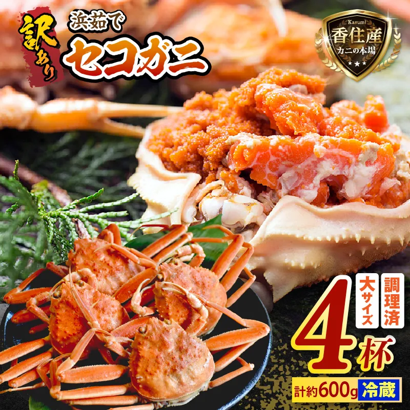 訳あり 浜茹で セコガニ 香住産 大サイズ 4杯入り 冷蔵【令和8年11月中旬以降発送予定】香住 濃厚 ミソ やみつき 内子 外子 絶品 訳あり 指落ち 大人気  濃厚 香美町 柴山 山陰 日本海 国産 カニ ズワイガニ 松葉ガニ せいこがに メスガニ  爪 ほぐし ボイル 脚 鮮度抜群 茹で ボイル 蟹 かに カニ お取り寄せ ごちそう グルメ 贅沢 ご褒美  返礼品 丸近 19-10