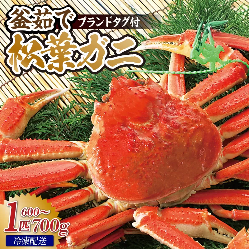 [香住産 釜茹で松葉がに 1匹(約600〜700g)]冷凍 産地直送 鮮度抜群 国産 かに カニ 蟹 ズワイガニ 松葉がに ボイル 新鮮 カニの本場 高級 冬 かにすき 焼きガニ カニ鍋 大人気 おすすめ 贈り物 ギフト お取り寄せ 兵庫県 香美町 香住 柴山 宿院商店 33-25