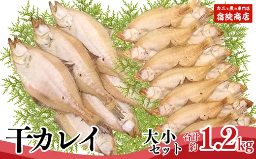 【干物 干カレイセット 合計1.2kg以上（大5〜8枚 約600g、小11〜15枚 約600g）香住産 冷凍】 ふるさと納税 送料無料 南蛮漬 唐揚げ お酒のお供 日本海 香住港 柴山港 兵庫県 香美町 香住 柴山 宿院商店 12000円 33-13