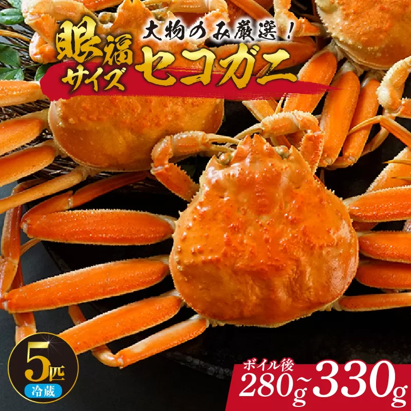 【先行予約】【1匹280g～330gの大物のみ厳選！ 眼福サイズ セコガニ5匹セット 冷蔵】 令和7年11月中旬以降、水揚げ次第順次発送予定 濃厚なカニ味噌 やみつきになる内子 外子 絶品 浜茹で 産地直送 鮮度抜群 送料無料 香住 柴山 国産 カニ 松葉ガニ せいこがに メスガニ 親ガニ ふるさと納税 返礼品 おすすめ 兵庫県 香美町 カネニ 06-25