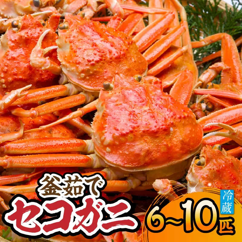 【先行予約】【兵庫県香住産 釜茹でセコガニ 6〜10匹 約1.2kg 冷蔵】令和7年11月中旬より配送予定 カニの本場兵庫県香美町 香住漁港 柴山漁港で水揚げ 釜茹でのプロが茹で上げ セコ蟹は松葉ガニのメス プチプチ外子 濃厚な内子 漁期がわずか2カ月間 貴重な海の幸 コッペガニ 香箱蟹 親ガニ 水揚げ当日に茹でたてを発送 到着すぐそのままお召し上がり頂けます 日本海 宿院商店 42000円 33-23