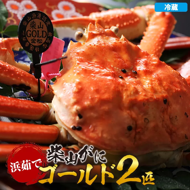 【先行予約】【浜茹で柴山ゴールド 柴山がに・ゴールドタグ付きが一度に2匹も揃う奇跡 冷蔵】令和7年11月中旬以降、水揚げ次第順次発送予定 高級 貴重 レア かに カニ 蟹 おすすめ 兵庫県 香美町 香住 柴山 カネニ 06-24