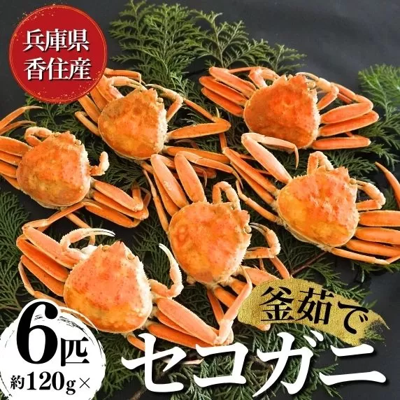 [先行予約][セコガニ 約120g×6匹 釜茹で ボイル 冷凍]令和7年11月中旬以降、カニの水揚げ次第順次発送予定 濃厚なかにミソとやみつきになる内子、外子が絶品 産地直送 絶妙の塩加減での茹で上げ 国産 カニ かに 蟹 松葉ガニ せいこがに メスガニ 親ガニ 大人気 ふるさと納税 返礼品 おすすめ 兵庫県 香美町 香住 日本海フーズ にしとも 16000円 07-08