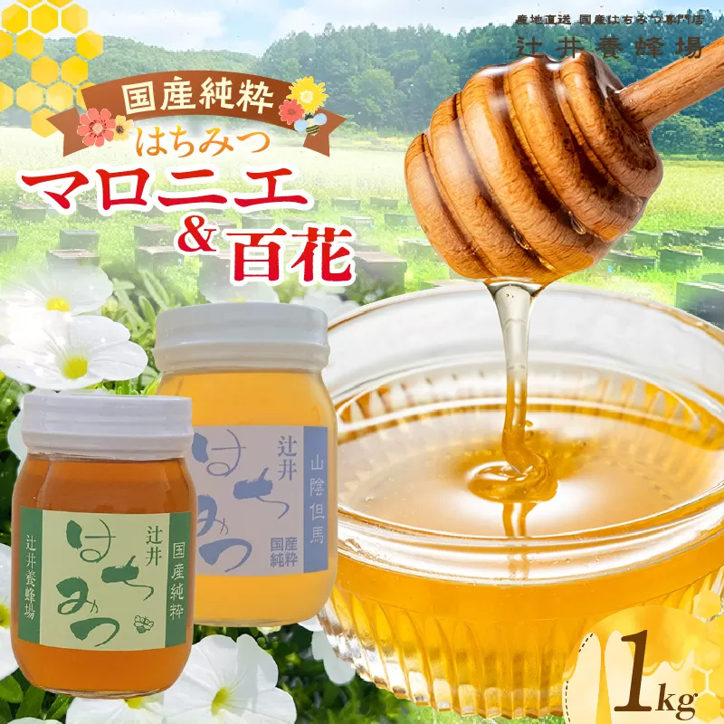 【国産純粋 マロニエはちみつ 百花はちみつ 各500g 計1kg 瓶】国産 純粋 マロニエ 百花 はちみつ ハチミツ 蜂蜜 栃の木 紅茶 パン ヨーグルト おすすめ 兵庫県 香美町 辻井養蜂場 81-06