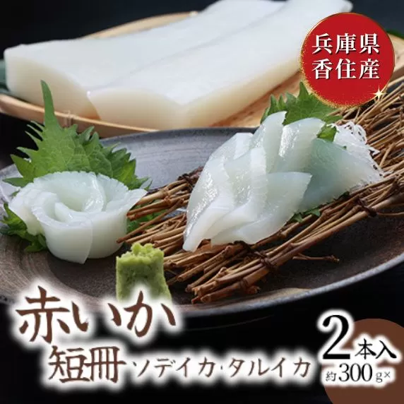 [赤いか アカイカ(ソデイカ・タルイカ)短冊 兵庫県香住産 約600g(約300g×2)冷凍 ]令和7年10月中旬以降発送予定 兵庫県 香美町 香住 日本海 刺身 海鮮 ふるさと納税 10000円 一万円 以下 日本海フーズ にしとも かに市場 07-116