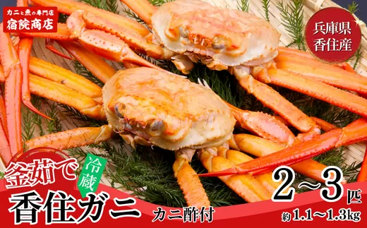 【兵庫県香住産 釜茹で香住ガニ（紅ズワイガニ）2〜3匹】ご入金確認後、順次発送 冷蔵 香住港で水揚げ 新鮮な香住ガニ 絶妙な塩加減で茹で上げ ミネラル豊富な海洋深層水域で育ったカニ 甘みがあってとても美味しい 関西では「香住港」だけしか水揚げを許可されていない特産品 足が1〜2本折れたカニが混ざる場合がございます かに 日本海 香美町 宿院商店 22000円 33-21　