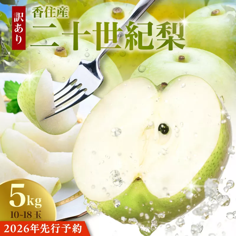 2026年産 先行予約【梨 訳あり 20世紀梨 5kg（10～18玉）】生産者応援商品！ 9月上旬以降発送予定 数量限定 ご家庭用 ジャム 加工用 傷あり 不揃い 訳あり 二十世紀梨 兵庫県  香美町 香住梨 フルーツ ナシ 青梨 和梨 JAたじま 10000円 12-23