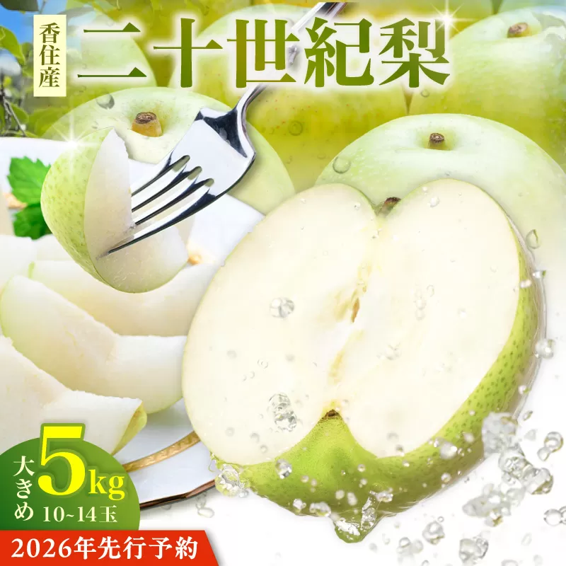 【2026年産 先行予約】【梨 20世紀梨 香住梨 5kg 秀品（Aランク）大きめ（1玉350g～500gを10～14玉）】【令和8年8月下旬以降発送予定】 二十世紀梨 シャキシャキ 甘味 瑞々しさ 香住梨 フルーツ 果物 贈答品 ギフト なし ナシ 和梨 青梨 大人気 おすすめ ランキング 兵庫県 香美町 香住 JAたじま 16000円 12-05