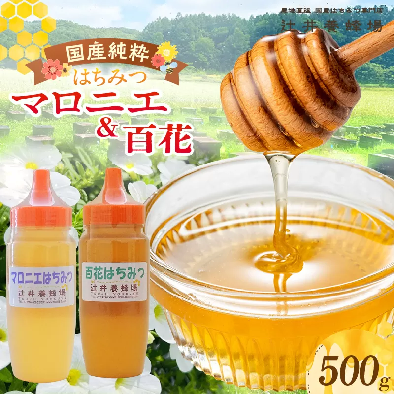 【国産純粋 マロニエはちみつ 百花はちみつ 各250g 計500g ポリ容器】国産 純粋 マロニエ 百花 はちみつ ハチミツ 蜂蜜 栃の木 紅茶 パン ヨーグルト おすすめ 兵庫県 香美町 辻井養蜂場 81-03
