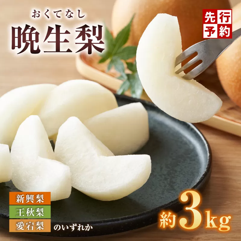 [先行予約]梨 晩生梨(新興・王秋・ 愛宕)3kg(5〜9玉)10月中旬から12月下旬にかけて発送 香住産 フルーツ 梨の一大産地香住からお届け 新興梨･王秋梨･愛宕梨のいずれかを時期によってお届け 甘味の中に適度に酸味 絶妙な美味しさ 味と品質へのこだわり 大人気 ふるさと納税 香美町 香住 果物 フルーツ ナシ 贈答 晩生 JAたじま 12-06