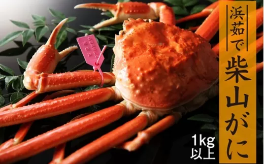 [先行予約][柴山ガニ タグ付き カネニの浜茹で (ボイル 高級柴山がに タグ付き 茹で 重量:1.0kg以上 冷蔵でお届け)]11月中旬以降発送予定 高級 かにすき 焼きガニ カニ ボイル 兵庫県 香美町 香住 柴山 カネニ 180000円 06-02