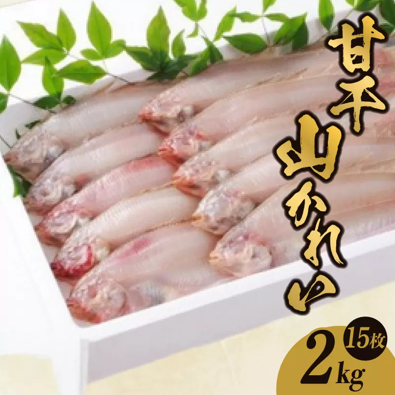 【干物 甘干し山かれい 2kg 15枚入り】 冷凍 国産 香住産 山陰 日本海 水揚げ 旬 山かれい あっさり 唐揚げ ポン酢 伝統 技術 BBQ 干物 おつまみ 兵庫県 香美町 香住 柴山 大人気 ふるさと納税 おすすめ 返礼品 蔵平水産 17000円 08-06