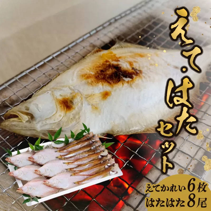 【干物 えてかれい はたはた セット エテカレイ6枚 ハタハタ8尾】 冷凍 国産 香住産 脂のり 旬 厳選 一夜干し 伝統 まぶり塩 製法 丁寧 手作業 BBQ 干物 おつまみ ふるさと納税 おすすめ 返礼品 大人気 兵庫県 香美町 香住 柴山 山陰 蔵平水産 14000円 08-01