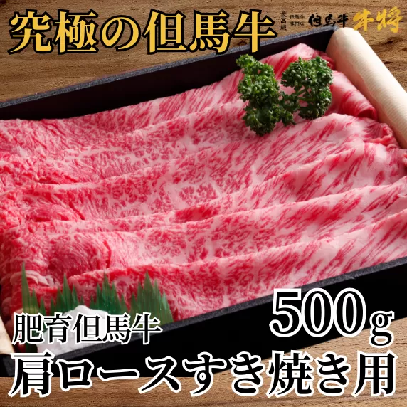 【但馬牛 肩ロース すき焼き用 合計500g】冷凍 配送日指定不可 黒毛和牛 ルーツ 但馬牛 神戸牛 仙台牛 飛騨牛 ルーツ牛 牛肉 ステーキ しゃぶしゃぶ すき焼き 焼肉 産地直送 大人気 ふるさと納税 返礼品 おすすめ ランキング 但馬 神戸 兵庫県 香美町 村岡 牛将 村岡ファームガーデン 33000円 TJM 02-06