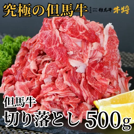 【但馬牛 切り落とし 500g 冷凍 産地直送】発送目安：入金確認後1ヶ月程度　配送日の指定はできません。日本の黒毛和牛のルーツは香美町にあり 但馬牛は神戸牛、仙台牛、飛騨牛のルーツ牛です 大人気 ふるさと納税 牛肉 ステーキ しゃぶしゃぶ すき焼き 焼肉 ブランド 和牛 兵庫県 但馬 神戸 香美町 村岡 但馬牛専門店 牛将 02-02