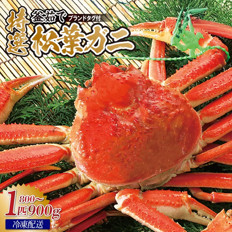 【先行予約】【特選 釜茹で タグ付き 松葉ガニ 1匹（約800g〜900g）冷凍】11月中旬以降配送予定 香住で水揚げされた新鮮な松葉ガニを熟練の職人が茹で上げます。茹でたてを急速冷凍して発送します。カニの本場 香住 新鮮 国産 鍋 かにすき 脚 足 爪 身 肩 大人気 ふるさと納税 兵庫県 香美町 香住 柴山 ズワイガニ 宿院商店 100000円 33-29