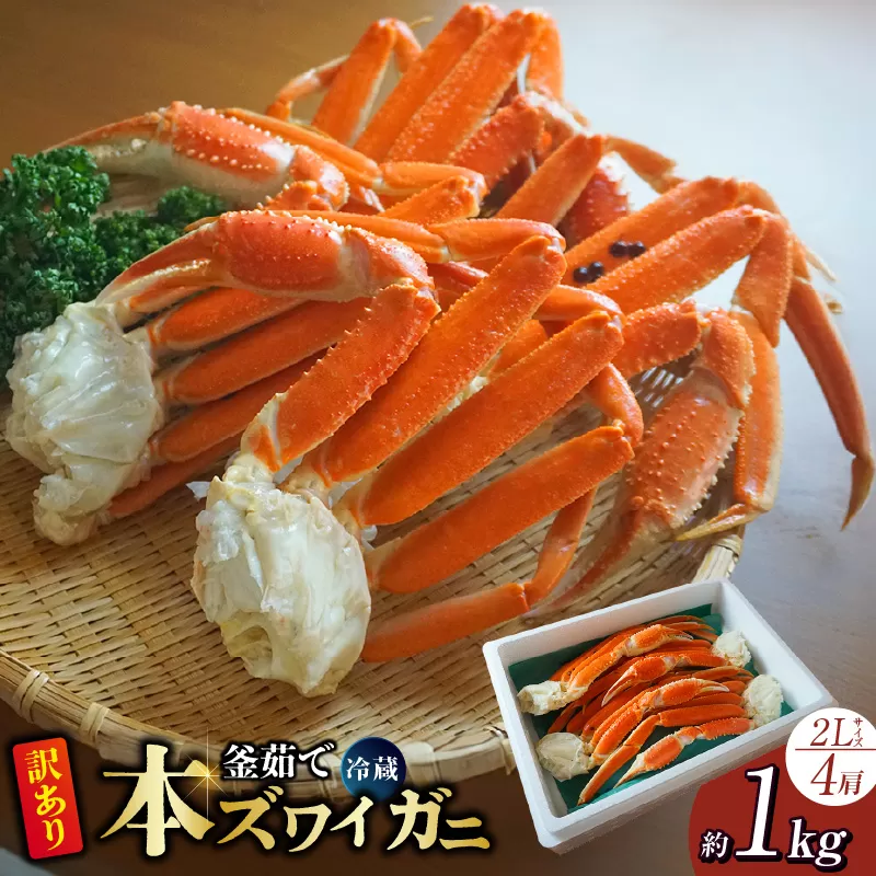 【訳あり 釜茹で ボイル 本ズワイガニ 2L 4肩（1肩当たり概ね220g〜260g）合計約1kg 冷蔵】ずわいがに カニ かに 蟹 チルド 蟹 カニ足 かに足 脚 肩 しゃぶしゃぶ かにすき かに鍋 ボイル ズワイガニ ずわい蟹 ズワイ蟹 カニ脚 蟹脚 ずわい ズワイ 海鮮 魚介類 ご褒美 ごちそう 兵庫県 香美町 香住 日本海フーズ 07-119