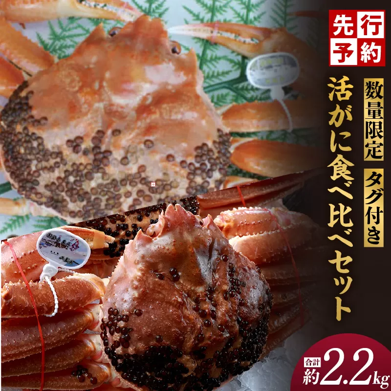 【先行予約】【数量限定 タグ付き活がに食べ比べセット（活黄金がに1.1kg･活松葉ガニ1.1kg）】令和7年11月中旬以降順次発送 12月〜1月中旬は発送不可 幻のカニ タグ付き黄金がに 冬の味覚の女王 タグ付き松葉がに 特大サイズ 活ガニ 香住からお届け 食べ比べ かにすき お鍋 焼きガニ 香住港 柴山港 兵庫県 香美町 香住 日本海フーズ にしとも かに市場 250000円 07-63