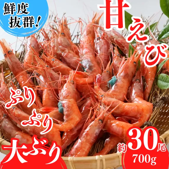 【鮮度抜群！天然大ぶり 甘えび 700g（約30尾）】冷凍 カニの本場 香住産 新鮮 産地直送 山陰の赤い宝石「甘えび」 濃厚で甘みの強い大ぶり甘えびをご堪能ください 発送目安：2ヶ月以内 大人気 ふるさと納税 送料無料 海鮮 エビ えび 刺身 天ぷら 濃厚 香住漁港 香美町 香住 兵庫県 香住港 山陰 日本海 国産 株式会社 丸近 19-11