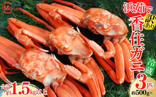 【 訳あり 浜茹で香住ガニ 計1.5?以上(500g×3匹)】冷蔵 チルド ボイル 茹で香住ガニ 紅ずわいがに 紅ズワイガニ ベニズワイガニ 強い甘み 瑞々しくジューシー 兵庫県 香美町 香住 マルヨ食品 マルヨダイレクト 17000円 17-24