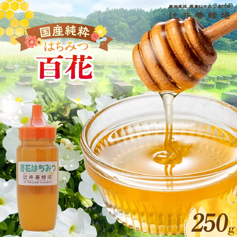 【国産純粋 百花はちみつ 250g ポリ容器】国産 純粋 百花 はちみつ ハチミツ 蜂蜜 紅茶 パン ヨーグルト おすすめ 兵庫県 香美町 辻井養蜂場 81-02