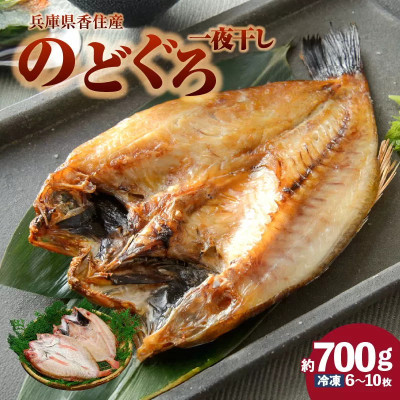 【兵庫県香住産 のどぐろ一夜干 約700g（6~10枚）】香住で水揚げ 鮮度抜群 白身魚の王様 高級魚 一夜干し 濃厚な脂 身は柔らかく 旨味が詰まった逸品 兵庫県 香美町 宿院商店 19000円 33-15