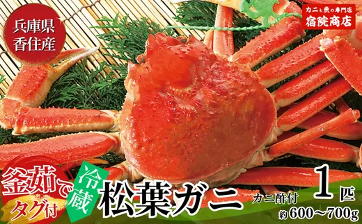 【先行予約】【香住産 釜茹で松葉ガニ 1匹（約600〜700g）冷蔵】令和7年11月中旬以降配送予定 香住で水揚げされた新鮮な松葉ガニを熟練の職人が茹で上げます。水揚げ当日に茹でたてを発送します。カニの本場 香住 新鮮 国産 鍋 かにすき 脚 足 爪 身 肩 大人気 ふるさと納税 兵庫県 香美町 香住 柴山 ズワイガニ  宿院商店 68000円 33-24