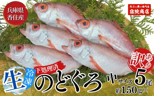 [先行予約][兵庫県香住産 処理済 のどぐろ中5匹 1匹約150g前後 計約700〜800g 冷凍]令和7年9月中旬以降発送予定 日本海 鮮度抜群 生冷凍 を急速冷凍 白身のトロ ノドグロ 国産 産地直送 兵庫県 香美町 香住 柴山 山陰 大人気 宿院商店 33-30
