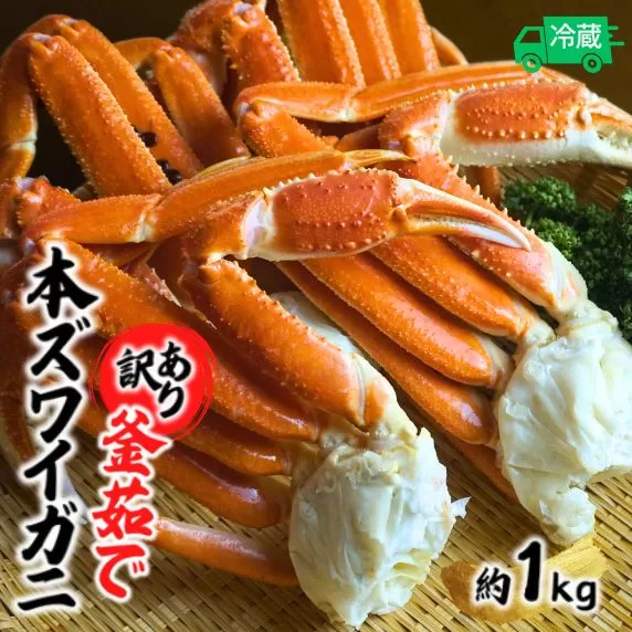 【訳あり 釜茹で 本ズワイガニ 2L 4肩 約1kg 冷蔵】鮮度や身入りなどを厳選した原料を使用 絶妙な塩加減で茹で上げます カニの本場 香住 大人気 ふるさと納税 香美町 香住漁港 香住港 ズワイガニ ずわいがに カニ かに ずわい ズワイ 蟹 カニ足 かに足 脚 肩 冷蔵 しゃぶしゃぶ かにすき かに鍋 15000円 日本海フーズ にしとも かに市場 07-119