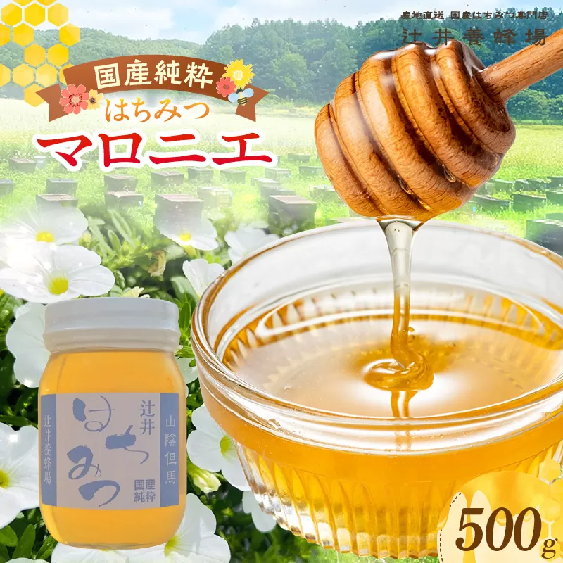 【国産純粋 マロニエはちみつ 500g 瓶】国産 純粋 マロニエ はちみつ ハチミツ 蜂蜜 栃の木 やさしい 香り まろやか パン ヨーグルト おすすめ 兵庫県 香美町 辻井養蜂場 81-04