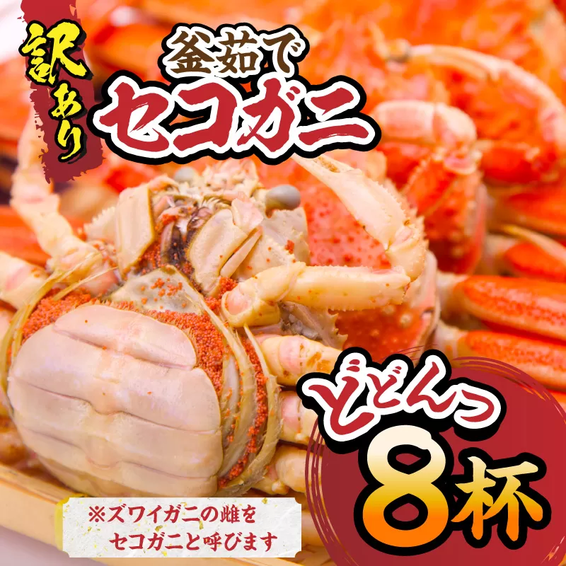 【訳あり セコガニ 約120g×8匹 釜茹で ボイル 冷凍】 国産 カニ かに 蟹 松葉がに せいこがに メスガニ 親ガニ 濃厚 かにミソ かにみそ 蟹味噌 やみつき 内子 外子 絶品 産地直送 絶妙 茹で加減 大人気 人気 おすすめ ふるさと納税 返礼品 兵庫県 香美町 香住 柴山 SKG WKA 日本海フーズ 18000円 07-09