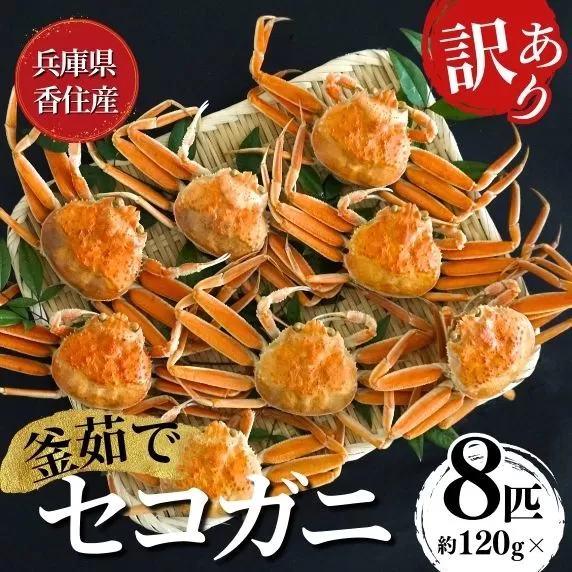 【セコガニ 訳あり（欠足 キズ 汚れなど）約120g×8匹 冷凍】令和7年11月中旬以降発送予定 濃厚なカニ味噌とやみつきになる内子 外子が絶品 釜茹で 冷凍 チョイスランキング 1位獲得（カニ部門週別 2022年4月12日）数量限定 産地直送 鮮度抜群 大人気 ふるさと納税 香美町 香住 柴山  カニ 松葉ガニ せいこがに メスガニ 親ガニ 日本海フーズ 18000円 07-09