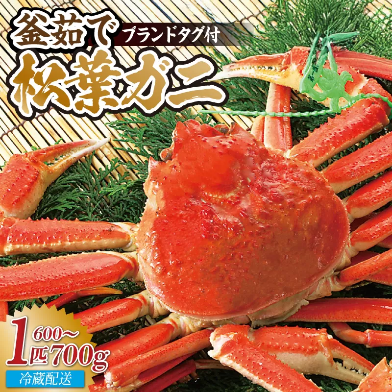 [香住産 釜茹で松葉がに 1匹(約600〜700g)冷蔵] 産地直送 鮮度抜群 国産 かに カニ 蟹 ズワイガニ 松葉ガニ ボイル 新鮮 カニの本場 高級 冬 かにすき 焼きガニ カニ鍋 大人気 おすすめ 贈り物 ギフト お取り寄せ 兵庫県 香美町 香住 柴山 宿院商店 33-24