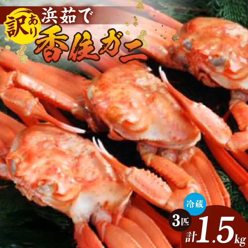 [先行予約][ 訳あり 浜茹で香住ガニ 計1.5kg以上(500g×3匹)]令和7年9月中旬以降配送予定 冷蔵 チルド ボイル 茹で香住ガニ 紅ずわいがに 紅ズワイガニ ベニズワイガニ 強い甘み 瑞々しくジューシー 兵庫県 香美町 香住 マルヨ食品 マルヨダイレクト 17000円 17-24