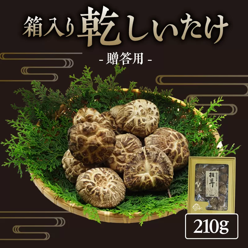 【贈答用　箱入りしいたけ　210ｇ】  きのこ キノコ 椎茸 しいたけ シイタケ 乾燥椎茸 原木乾燥しいたけ 原木栽培 最上級 肉厚 煮物 鍋 だし汁 12000円 55-01