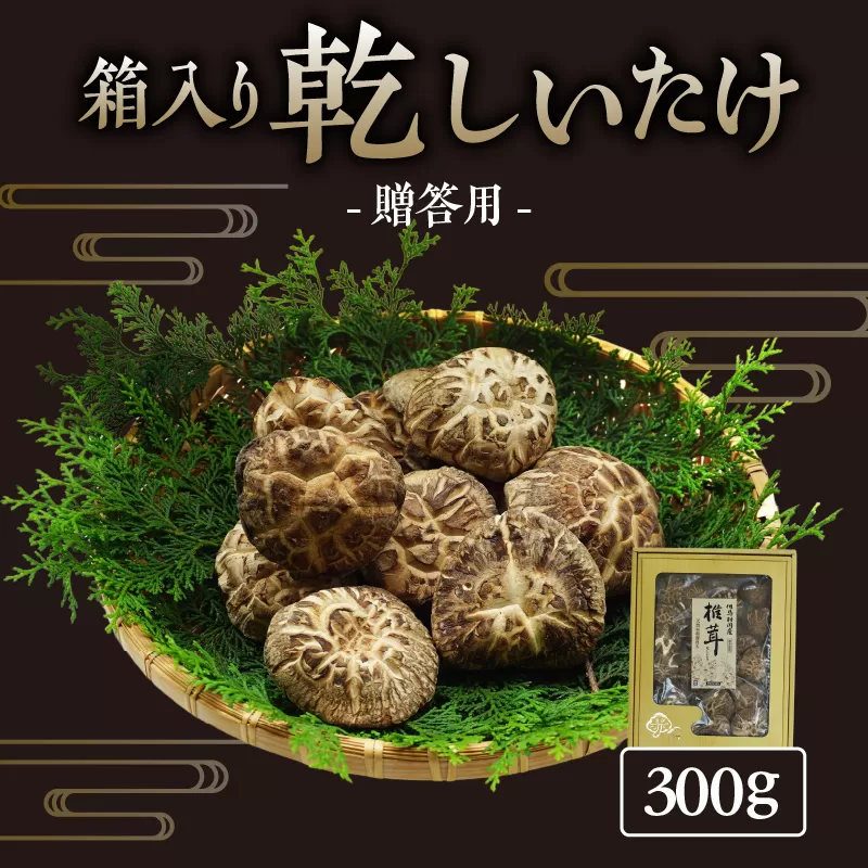 【贈答用　箱入りしいたけ　300ｇ】きのこ キノコ 椎茸 しいたけ シイタケ 乾燥椎茸 原木乾燥しいたけ 原木栽培 最上級 肉厚 煮物 鍋 だし汁 17000円 55-02