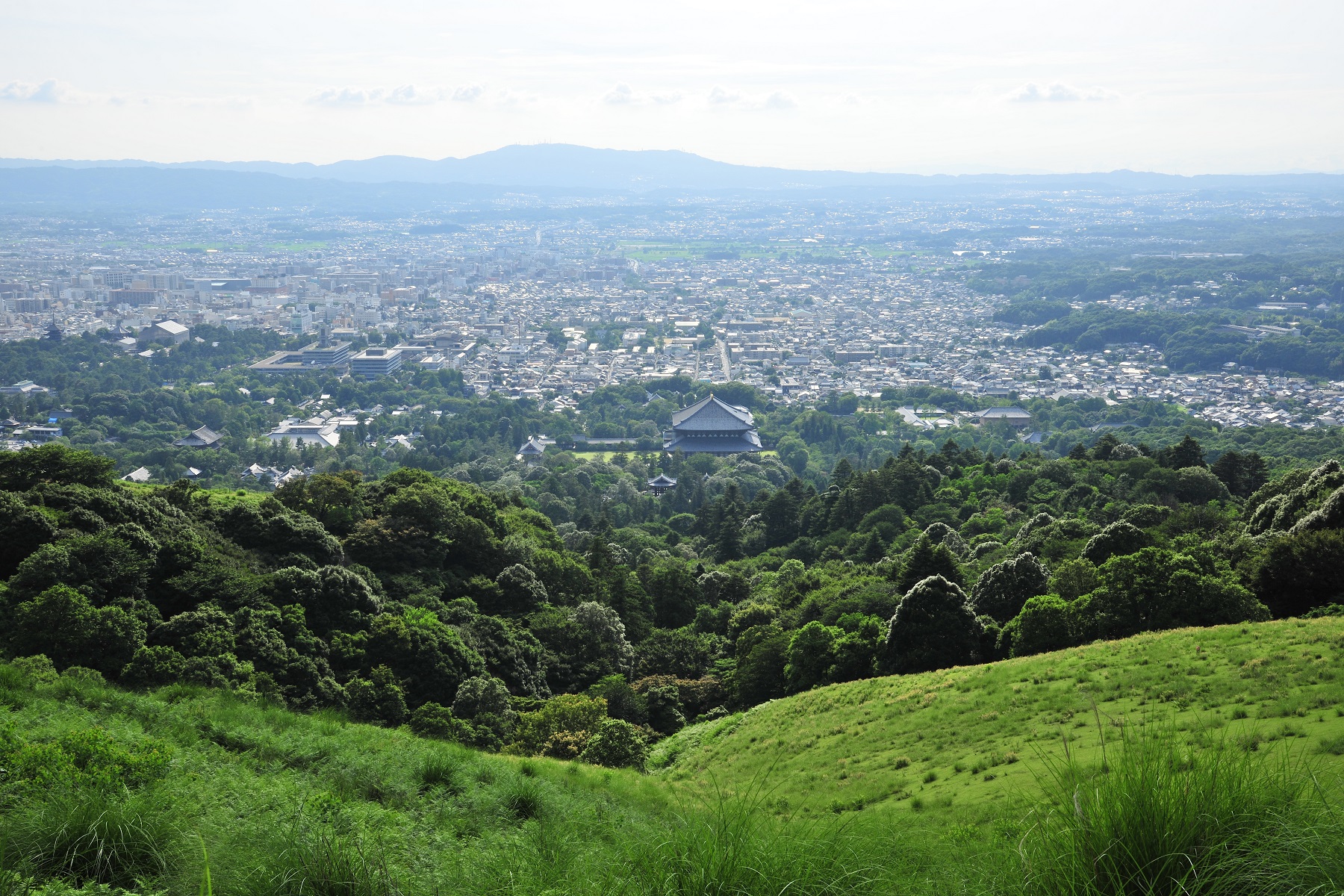 若草山